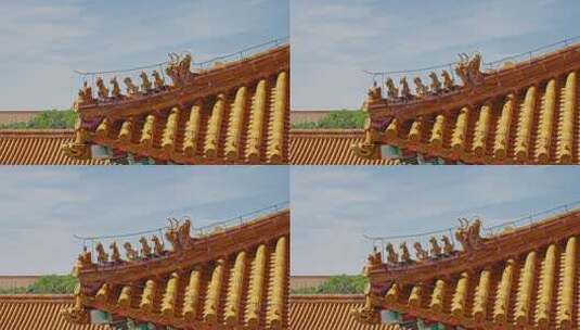 故宫宫殿屋脊兽0280高清在线视频素材下载