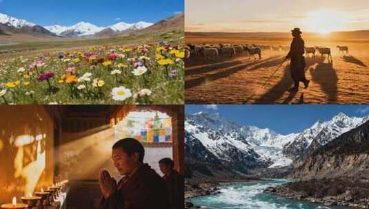 大美西藏高清在线视频素材下载