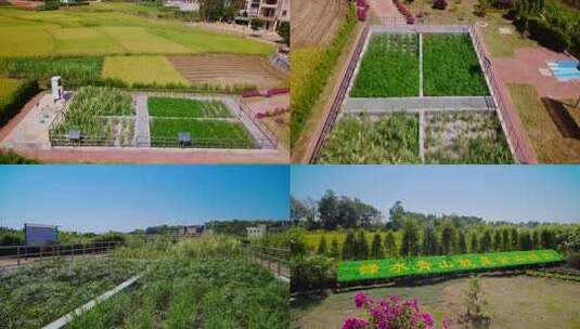 农村污水处理设备湿地系统高清在线视频素材下载