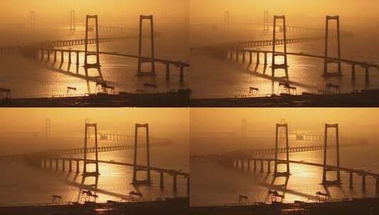 金色日出下的深中通道高清在线视频素材下载