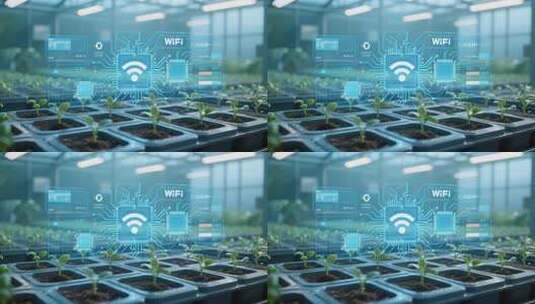 智慧农业植物生长WIFI信号科技概念视频高清在线视频素材下载
