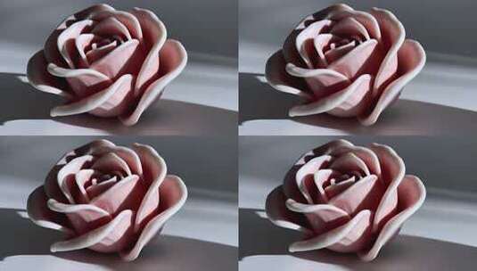 粉色玫瑰花微距特写高清在线视频素材下载