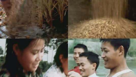 改革开放粮食丰收高清在线视频素材下载