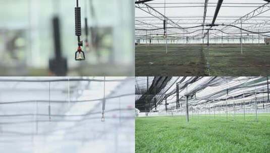 农业生产种植高清在线视频素材下载