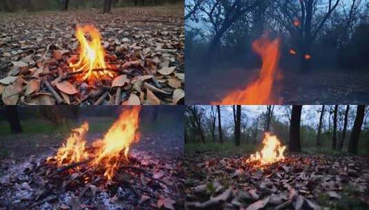 户外枯叶堆中的燃烧火焰高清在线视频素材下载