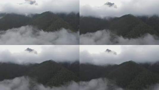 4k超清川西高原航拍湖泊牧场山谷牛群马匹高清在线视频素材下载