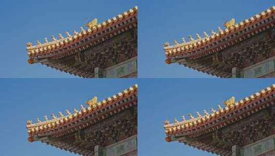 故宫宫殿屋脊兽0270高清在线视频素材下载
