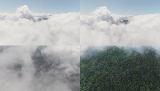 海南吊罗山森林航拍高清在线视频素材下载