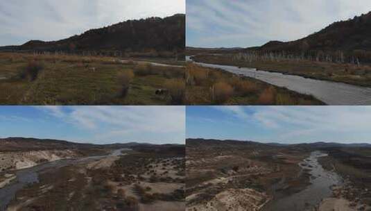 坝上秋色高清在线视频素材下载