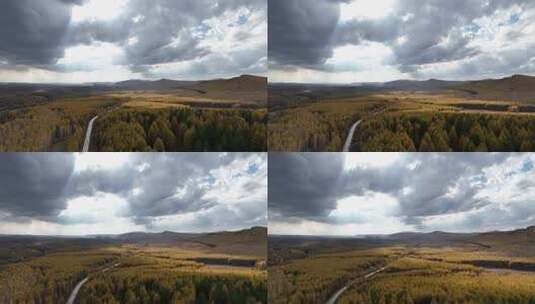 大兴安岭森林秋季风景航拍高清在线视频素材下载