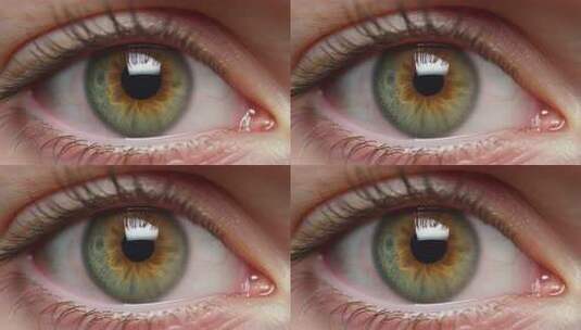 人眼微距特写素材高清在线视频素材下载