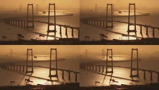 金色日出下的深中通道高清在线视频素材下载