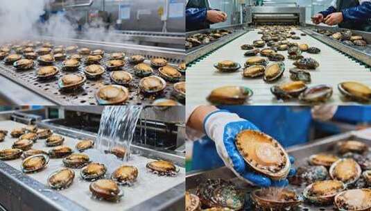 鲍鱼加工流水线生产 海鲜食品工厂作业流程高清在线视频素材下载