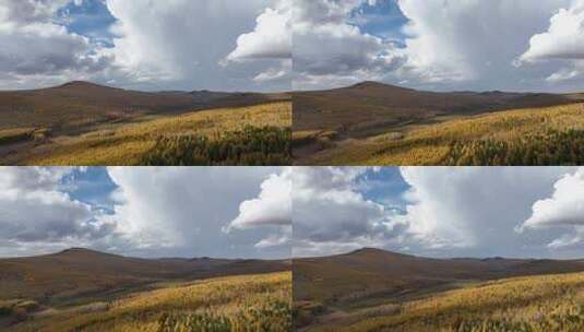 大兴安岭森林秋季风景航拍高清在线视频素材下载