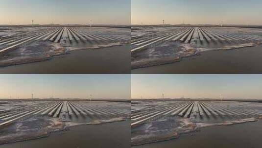 中国河北省沧州海丰风电场、光伏站航拍高清在线视频素材下载