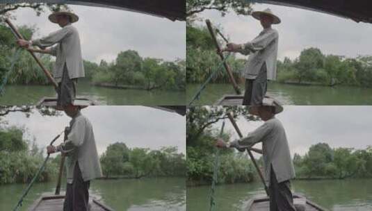 杭州西溪湿地摇橹船高清在线视频素材下载