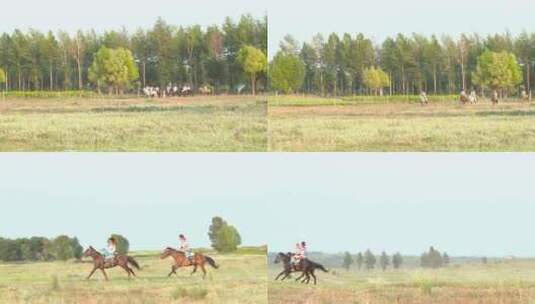 草原 骑马 蒙古 赛马 表演高清在线视频素材下载