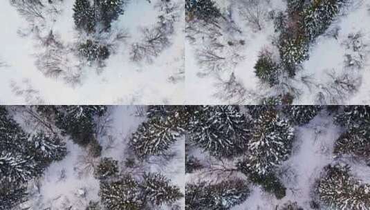 中国黑龙江大兴安岭雪原森林雪景航拍高清在线视频素材下载