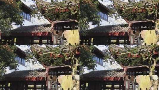 苏州园林拙政园 花窗走廊屋檐光影中式园林高清在线视频素材下载