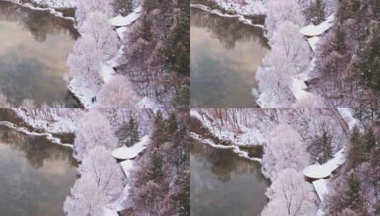 东北本溪水洞冬季雾凇树挂洁白唯美雪景航拍高清在线视频素材下载
