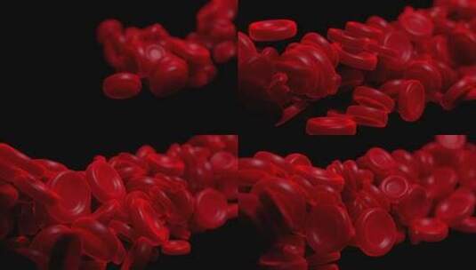血液细胞在活动的三维动画高清在线视频素材下载