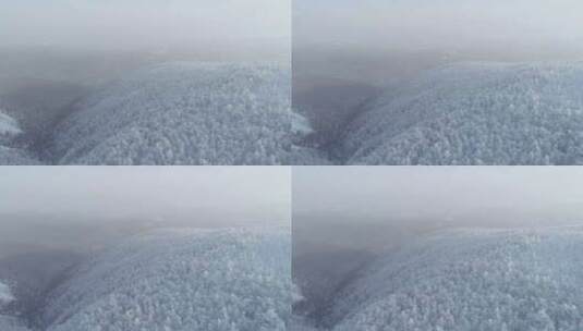 航拍内蒙古大兴安岭冰雪雾凇、雪凇高清在线视频素材下载