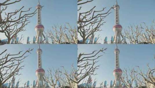 上海东方明珠冬天光秃秃树枝空镜运镜高清在线视频素材下载