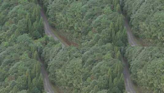 信宜大田顶日出航拍，高山云海，高山公路高清在线视频素材下载