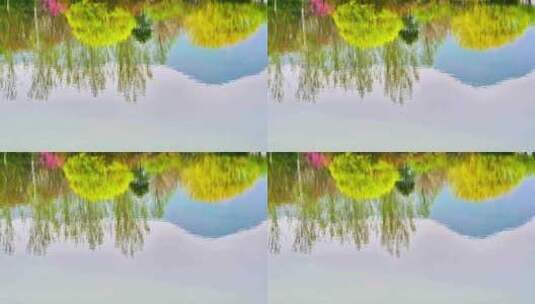 春天五彩缤纷的田园水边风景在水中的倒影高清在线视频素材下载