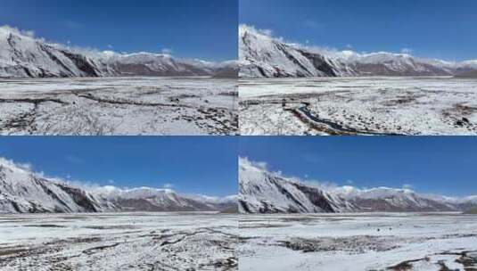 新疆帕米尔高原雪山山脚下牦牛成群高清在线视频素材下载