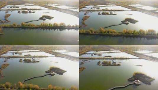 航拍湿地公园高清在线视频素材下载