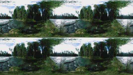野生森林虚拟现实高清在线视频素材下载