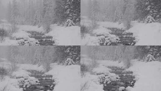 大雪覆盖着森林高清在线视频素材下载