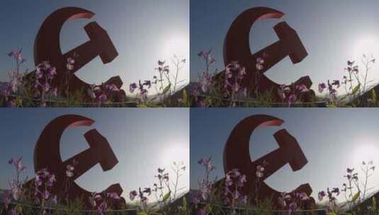 党徽花朵向阳高清在线视频素材下载