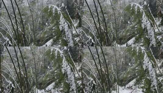 雪景 踏雪进山 雪中行 大雪高清在线视频素材下载