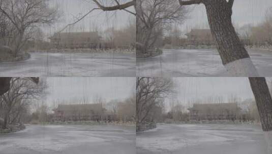 北京大学-冬季高清在线视频素材下载