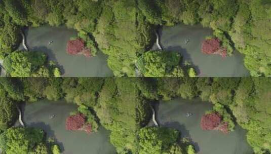 杭州九溪烟树小船湖泊航拍高清在线视频素材下载