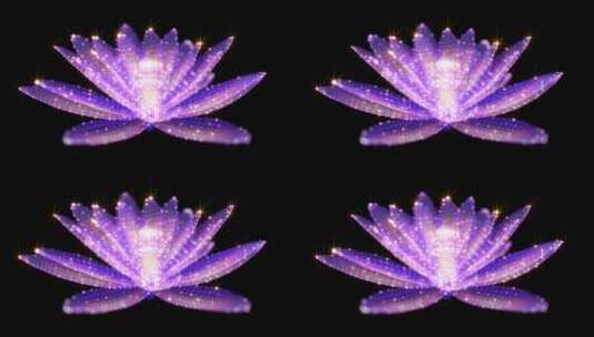 紫色粒子莲花循环高清在线视频素材下载