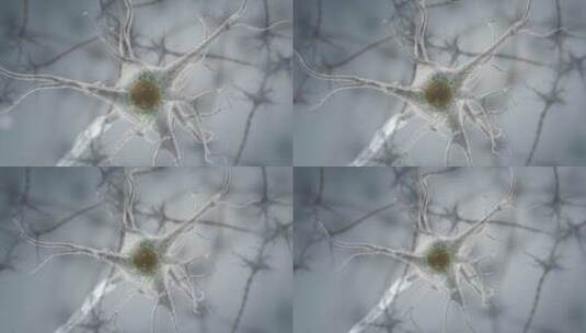 微观生物细胞神经系统神经元三维动画高清在线视频素材下载