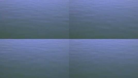 8K实拍金色水面湖面波光粼粼江面湖水高清在线视频素材下载