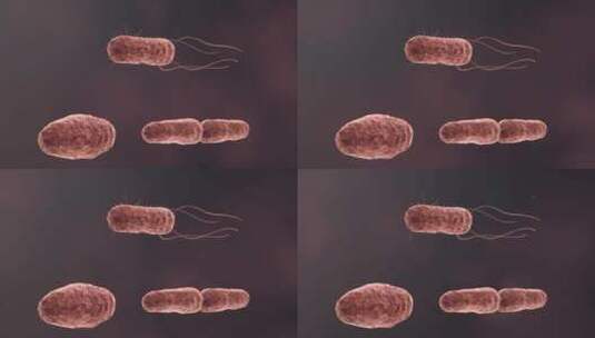 医学病原体病毒病原体病菌细菌医学三维动画高清在线视频素材下载