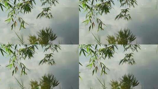湖边竹林岸边竹子倒影意境空镜高清在线视频素材下载