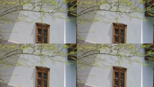 江南春天中式园林绿树庭院民居空镜高清在线视频素材下载