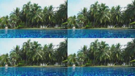 海南热带风景游泳池边椰树茂密高清在线视频素材下载