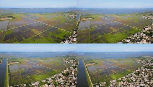 海南省万宁市海边万亩稻田航拍高清在线视频素材下载