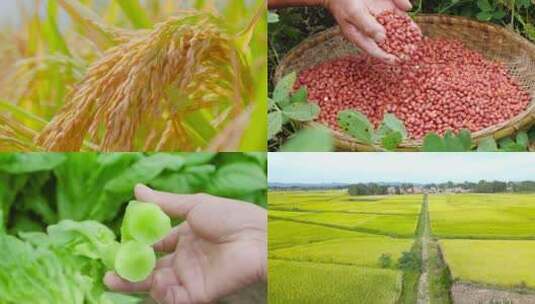 农产品素材高清在线视频素材下载