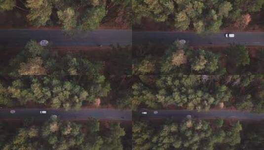 航拍森林中的公路高清在线视频素材下载