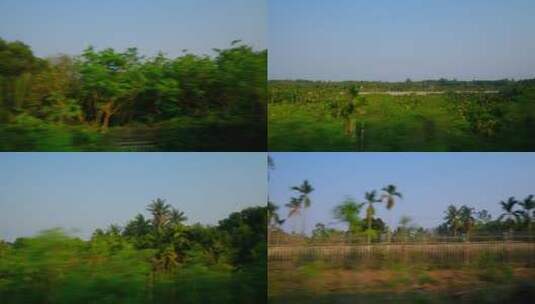 海南高铁动车火车窗外风景沿途风光 椰树高清在线视频素材下载
