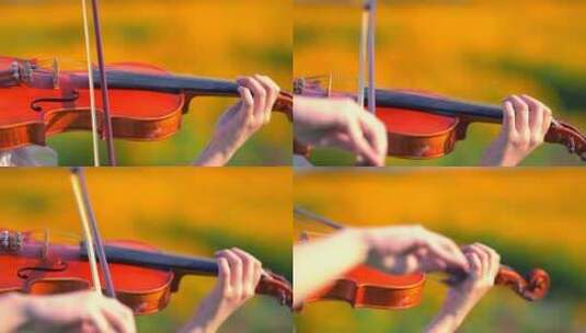 小提琴 小提琴特写高清在线视频素材下载