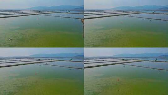 霞浦 鱼虾养殖业 水产养殖业高清在线视频素材下载